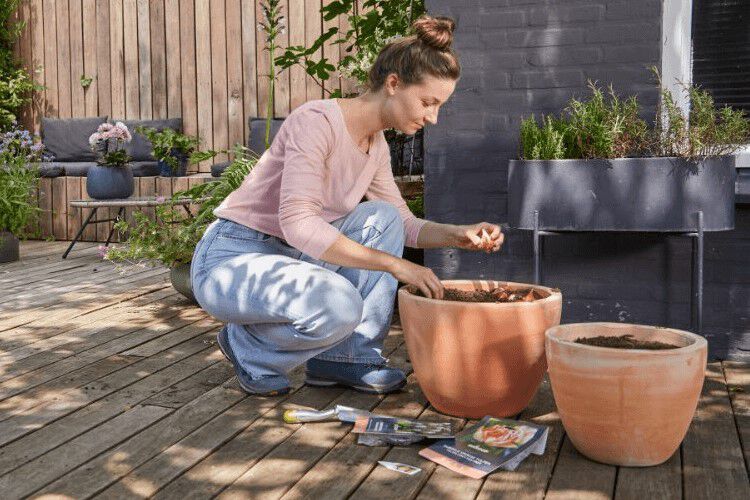 PD image alt tuin