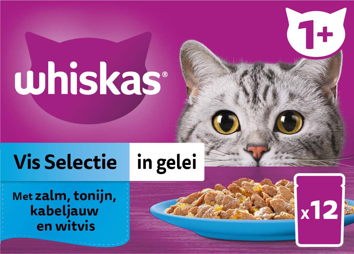 Whiskas  1+ Vis Selectie in gelei - Kattenvoer - 12x85 gram - Zalm - Tonijn - 1,02 kg