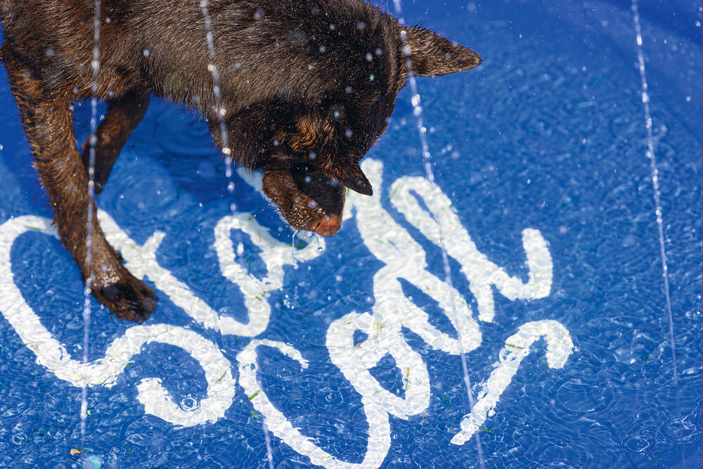 Beeztees Stay cool - Sprinkler mat -Waterspeelgoed hond - 27.80 cm - Blauw - 22.20 cm - 100.00 cm - 4.70 cm