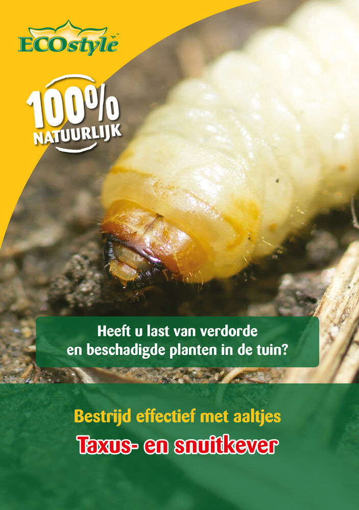 ECOstyle - tegen larven taxuskever