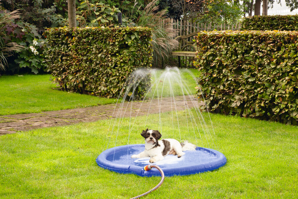 Beeztees Stay cool - Sprinkler mat -Waterspeelgoed hond - 27.80 cm - Blauw - 22.20 cm - 100.00 cm - 4.70 cm