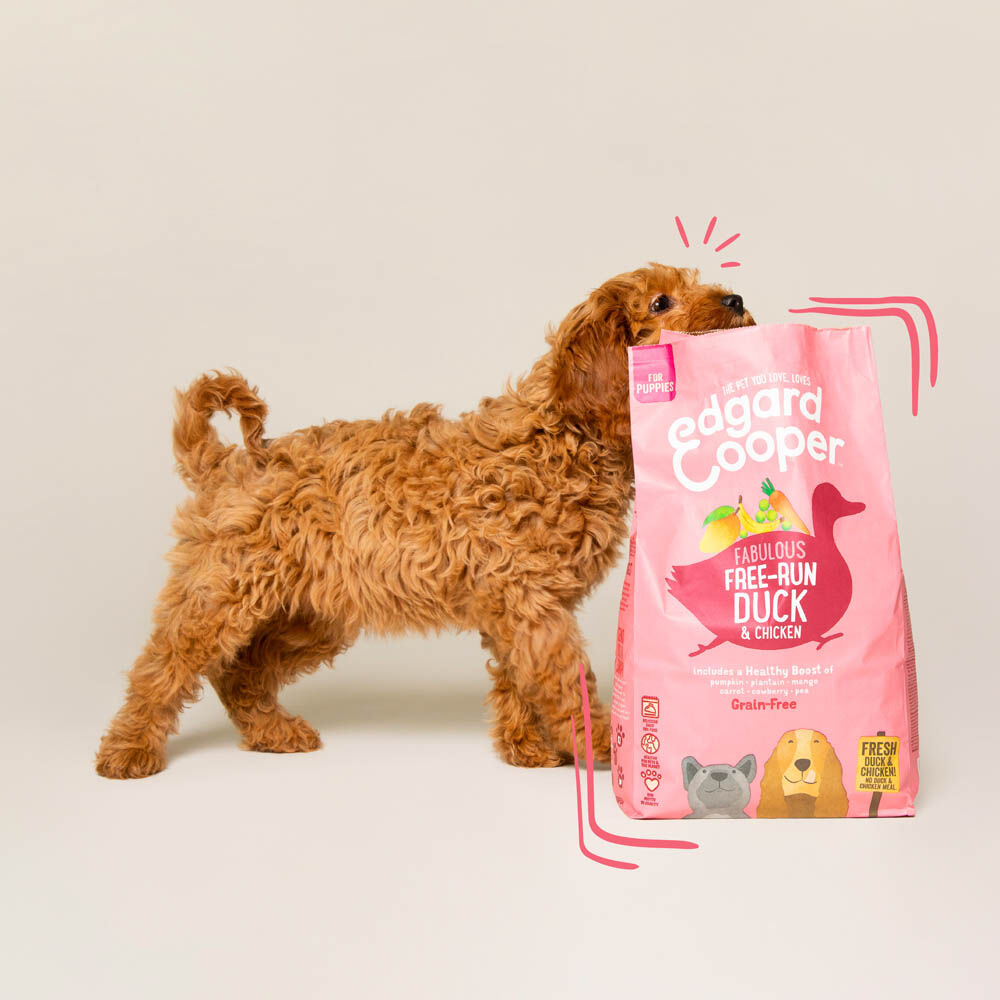 Edgard & Cooper Puppy - Hondenvoer - Eend - Kip - 7 kg