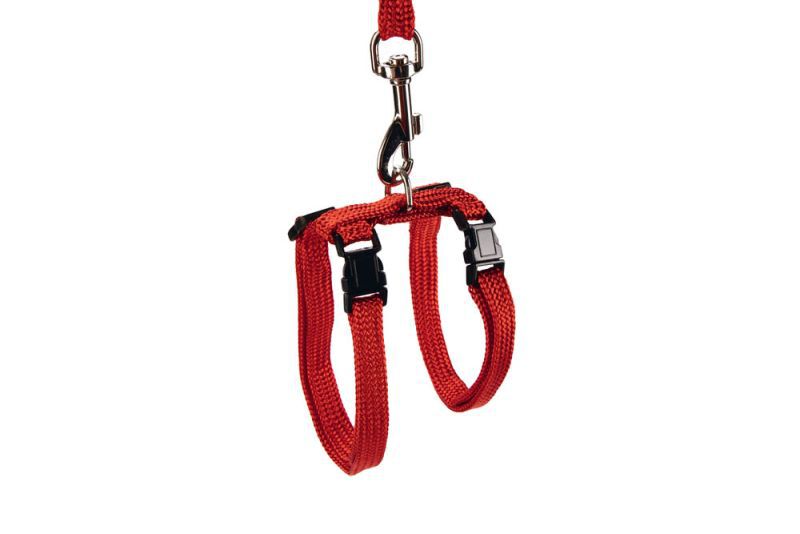 BEEZTEES - Kattentuigje - 20.50 cm - Rood - 10 mm - 14.00 cm - 100.00 cm - 2.00 cm