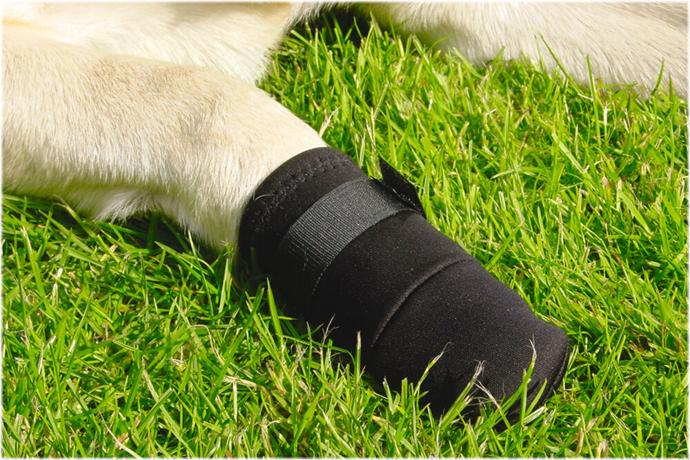 Beeztees - Beschermingsschoen Hond - 26.00 cm - 13.80 cm - S - 4.00 cm