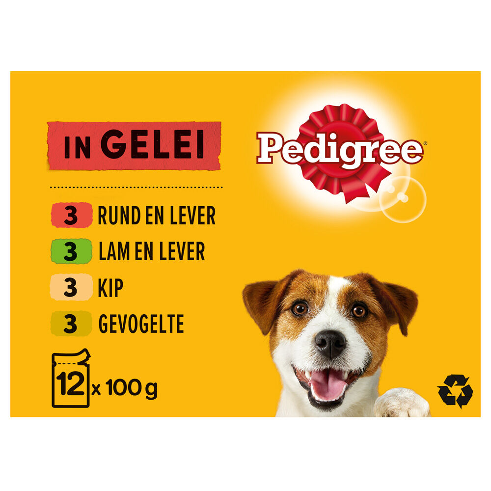 PEDIGREE POUCH ADULT