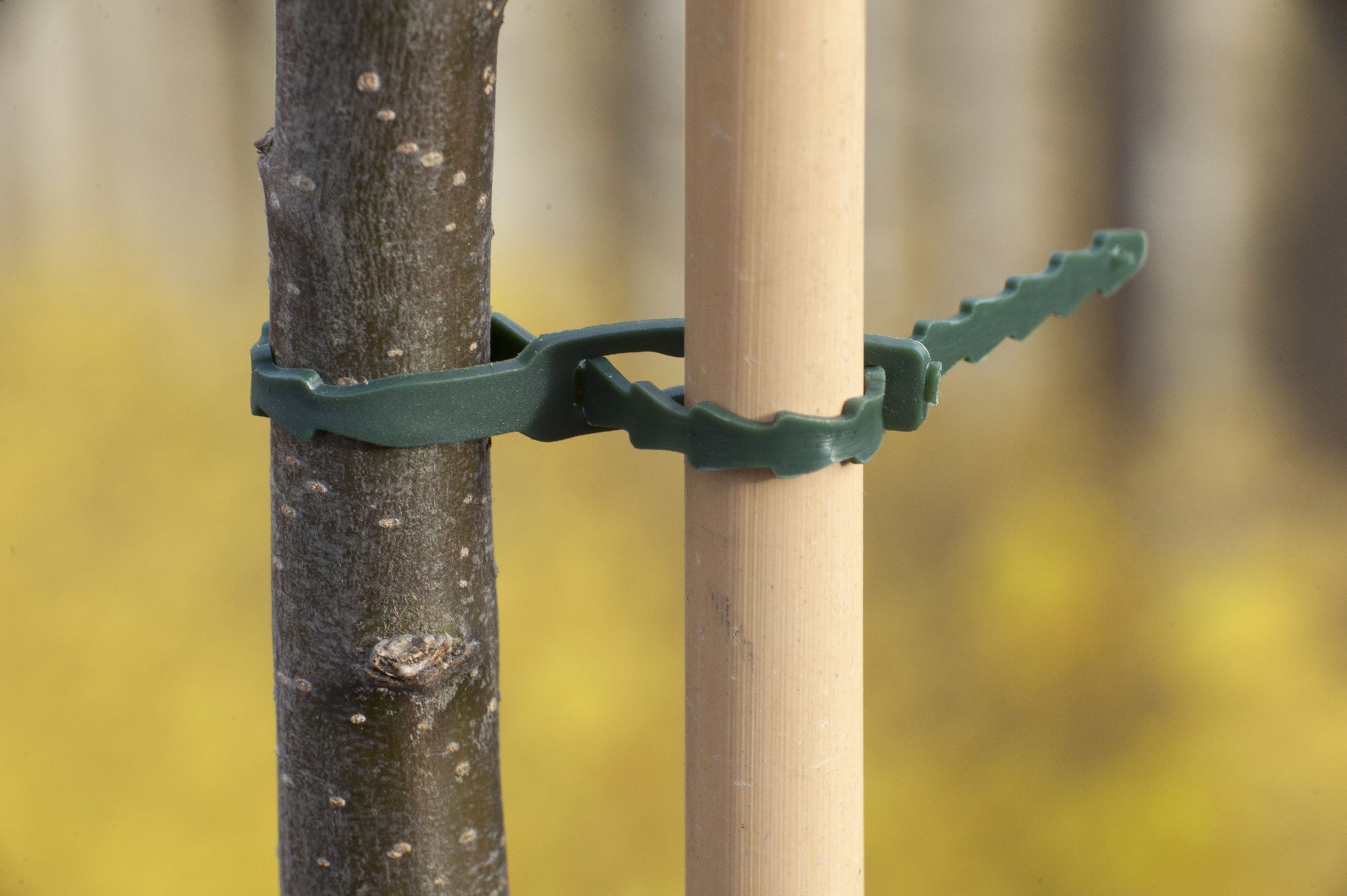 Nature Plastiband - Touw en Bindmaterialen - 42.50 cm - 9.80 cm - 1.10 cm