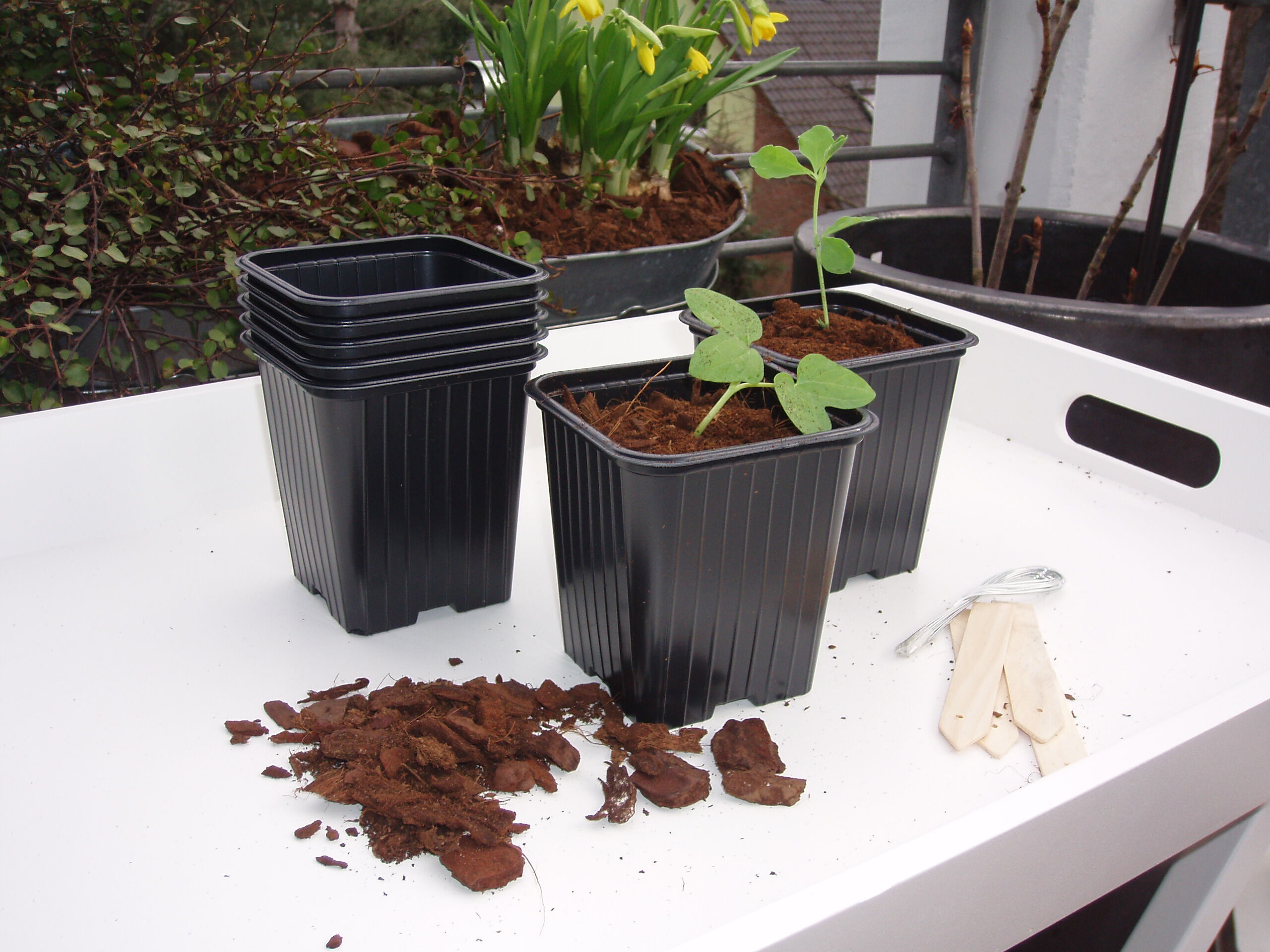 Nature Stekpotjes - Kweekbenodigdheden - 16.50 cm - 7.00 cm - 7.00 cm