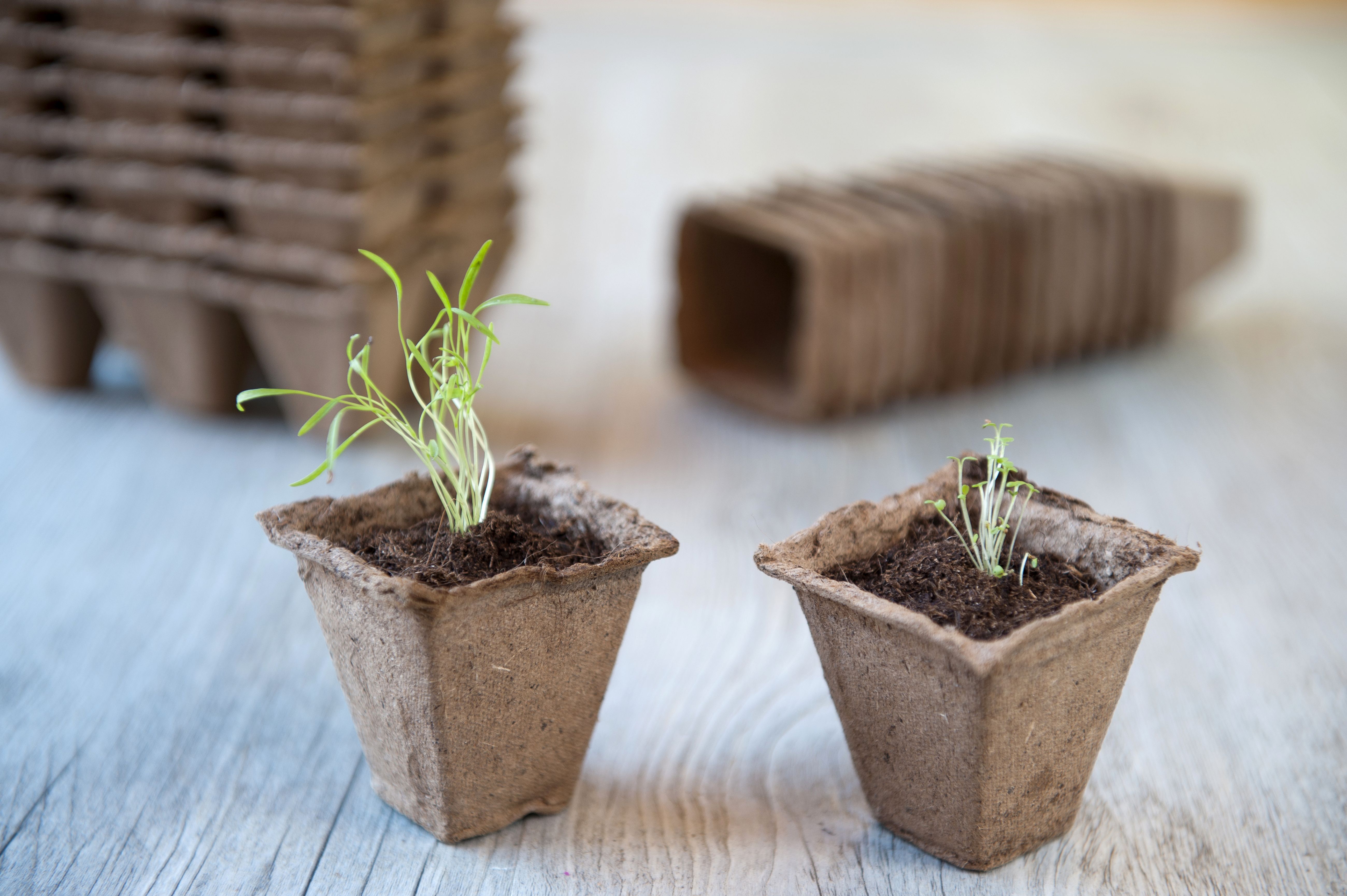 Nature Turfpotjes - Kweekbenodigdheden