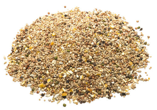 Welkoop Tortelduivenvoer - 5 kg