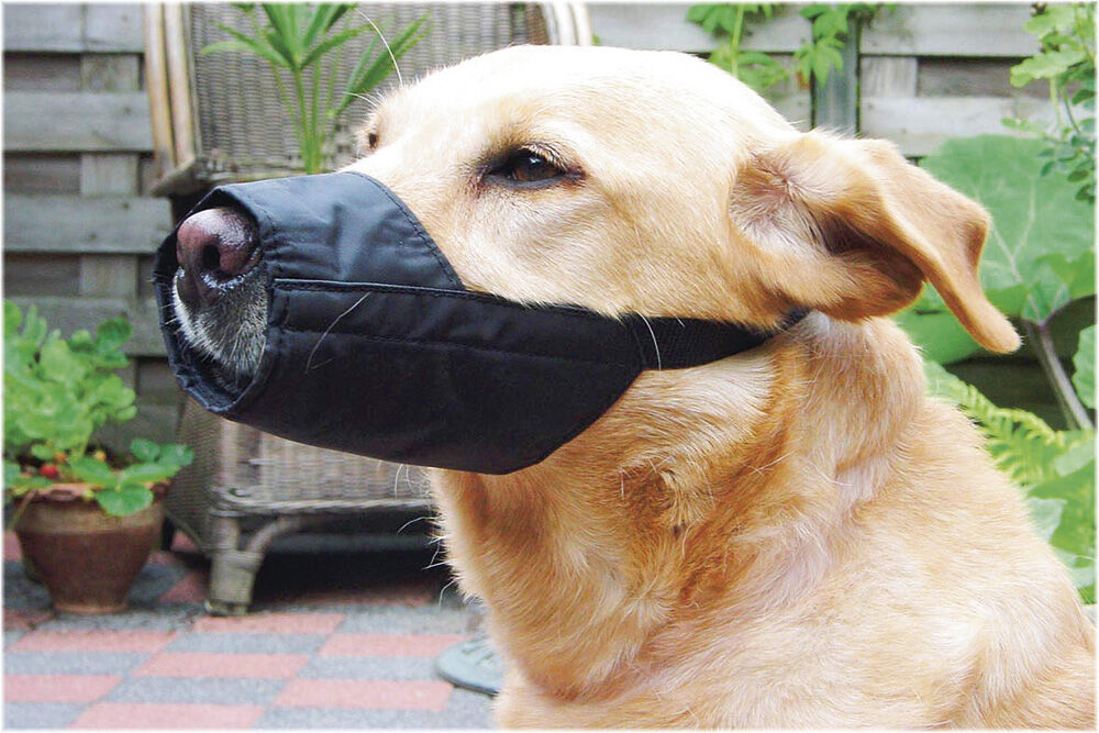 Beeztees  - Veiligheidsmuilband Hond