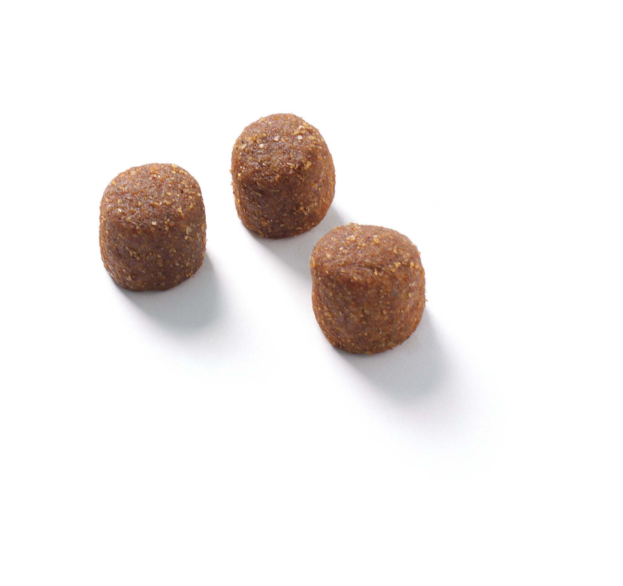 FOKKER HOND NUTRI-FIT L
