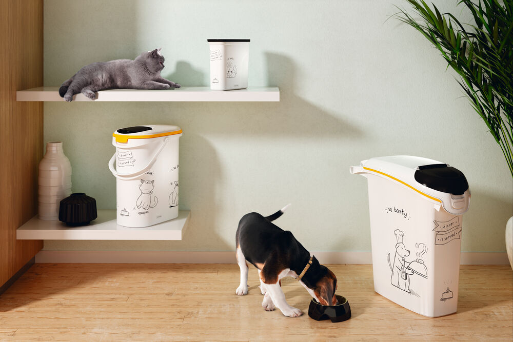Curver Dis - Kat - Voercontainer - 2.00 l - 1.00 cm - Wit - 21.00 cm - 1.00 cm