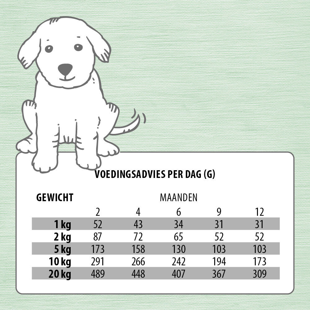 Jarco Dog Medium Pup - Hondenvoer - Kip - 10 kg
