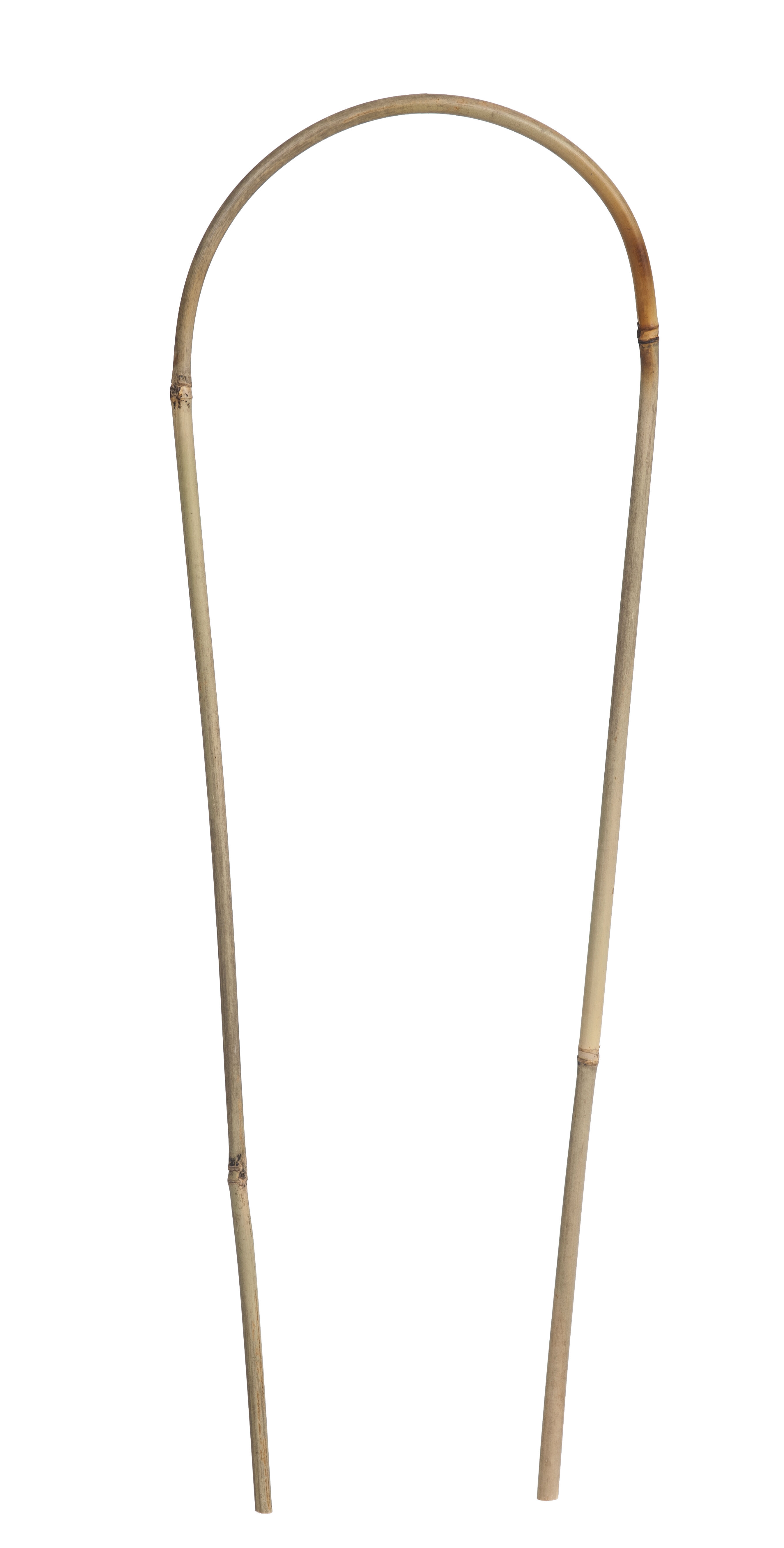 Nature Bamboestok Gebogen - Klim- en Geleide Artikelen - 182.00 cm - 5.80 cm - 180.00 cm - 6.00 cm Nature Bamboestok Gebogen - Klim- en Geleide Artikelen - 182.00 cm - 5.80 cm - 180.00 cm - 6.00 cm