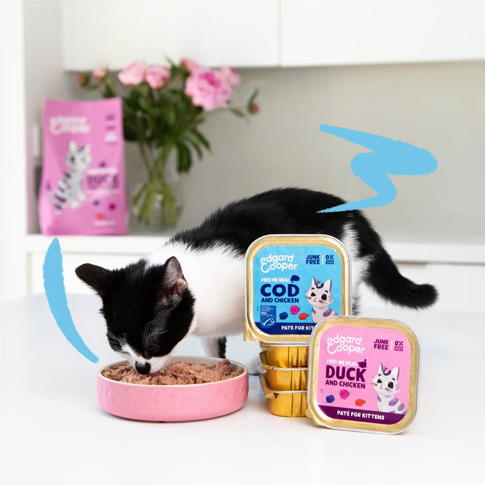 Edgard & Cooper Paté - Kattenvoer - Kabeljauw - Kip - 85 gram