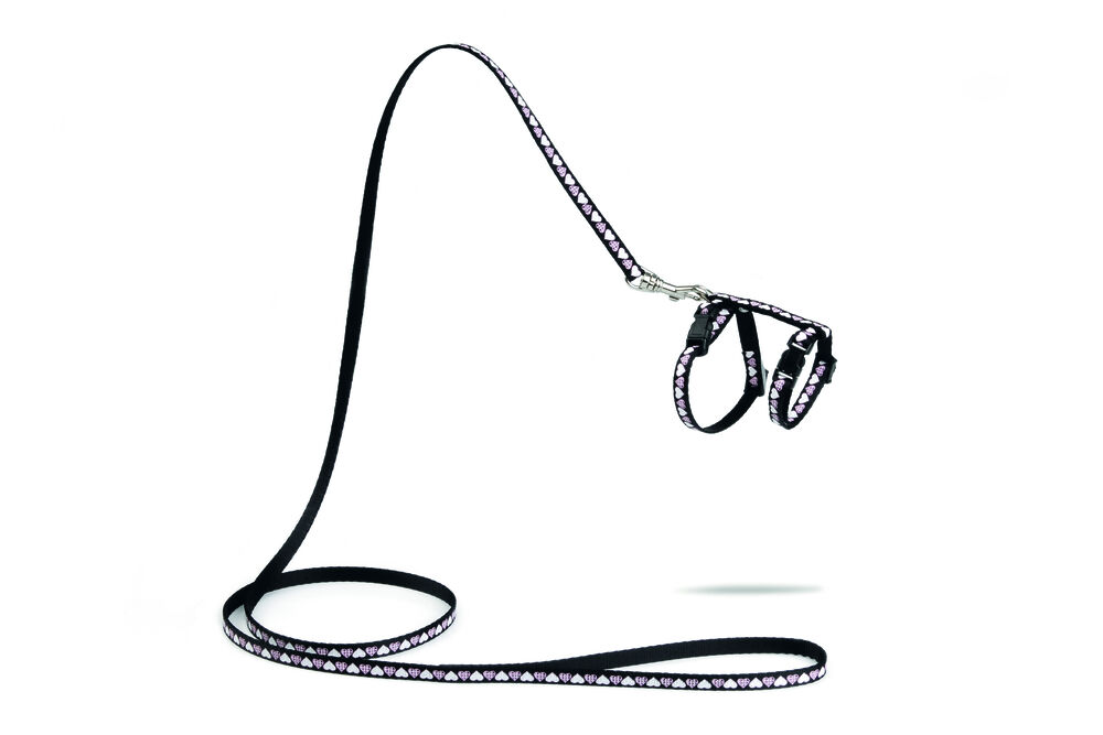 Beeztees Hearts - Kittentuigje - 23 cm - 20.50 cm - Zwart - 10 mm - 13.10 cm - 16.00 cm - 100.00 cm - 4.50 cm