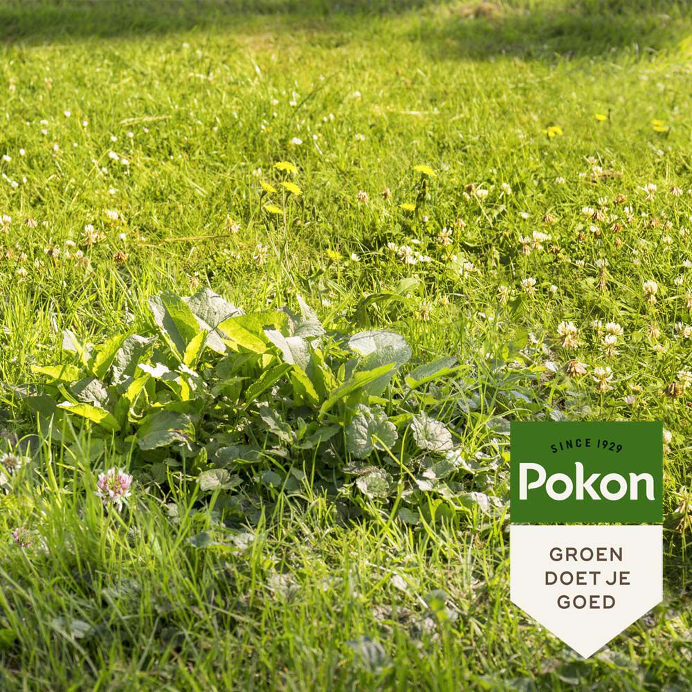 Pokon Onkruid weg - Gazonmeststof - 120 m² - 2,4 kg