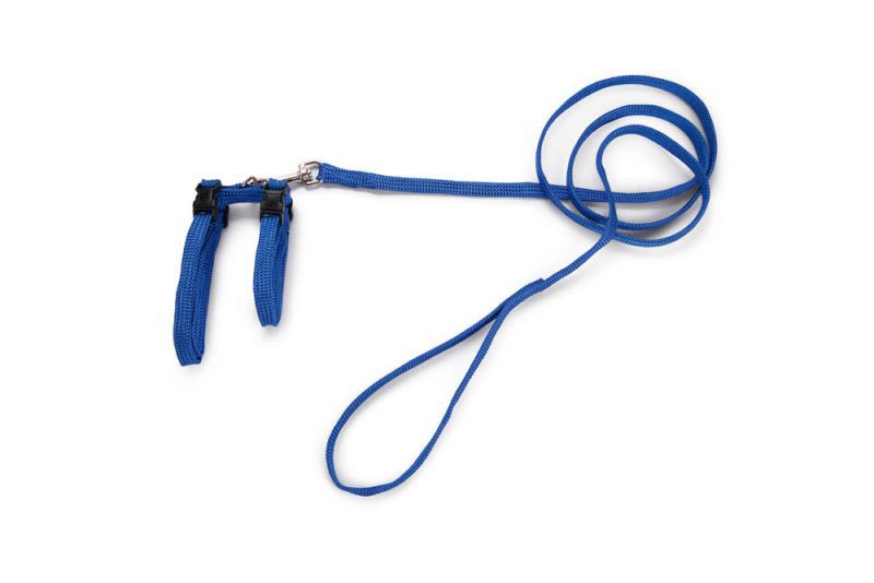 BEEZTEES - Kattentuigje - 20.50 cm - Blauw - 10 mm - 14.00 cm - 100.00 cm - 2.00 cm
