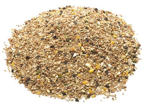 Welkoop Tortelduivenvoer - 20 kg