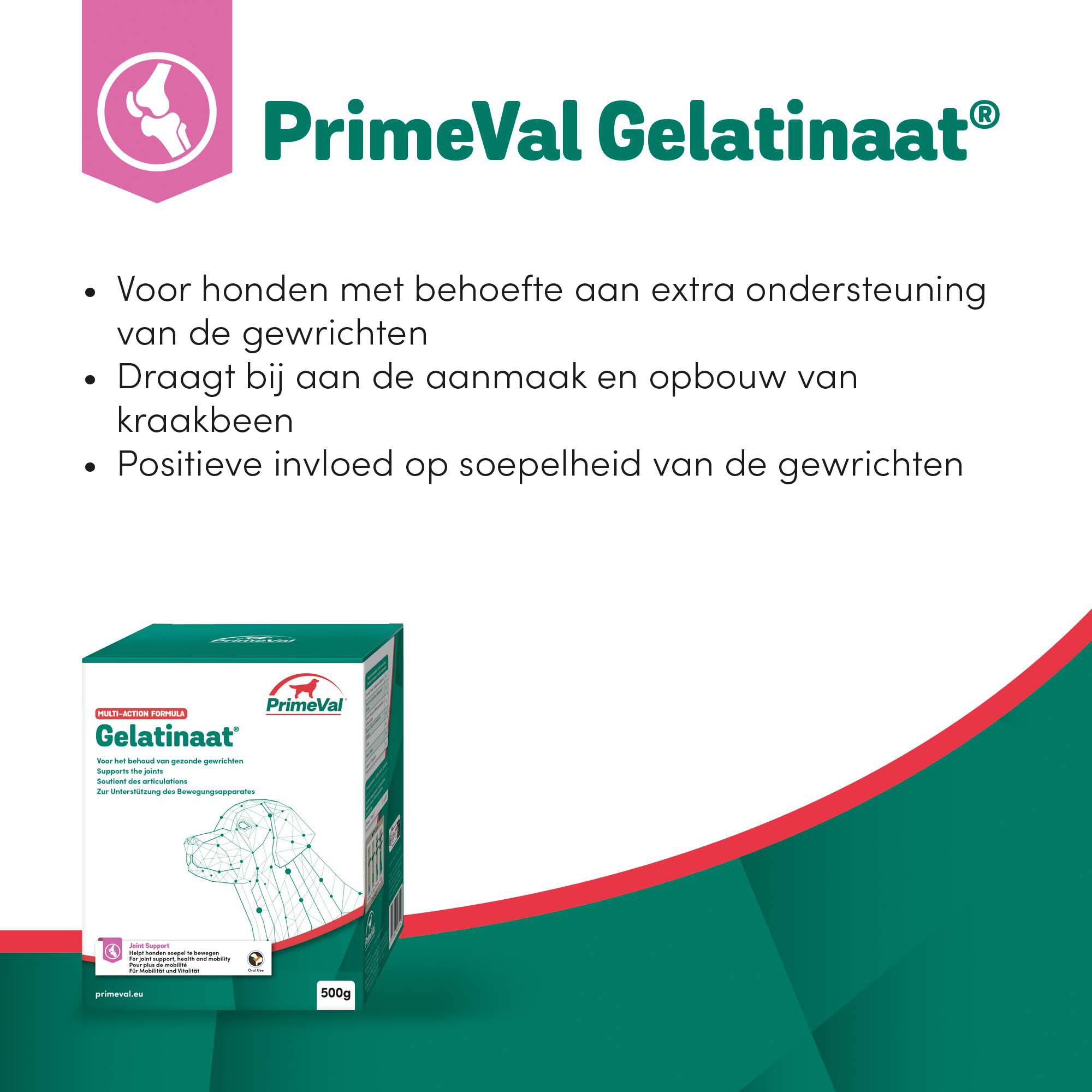 Primeval Gelatinaat - Soepele gewrichten Hond - 15.00 cm - 500.00 - 12.10 cm - 12.10 cm