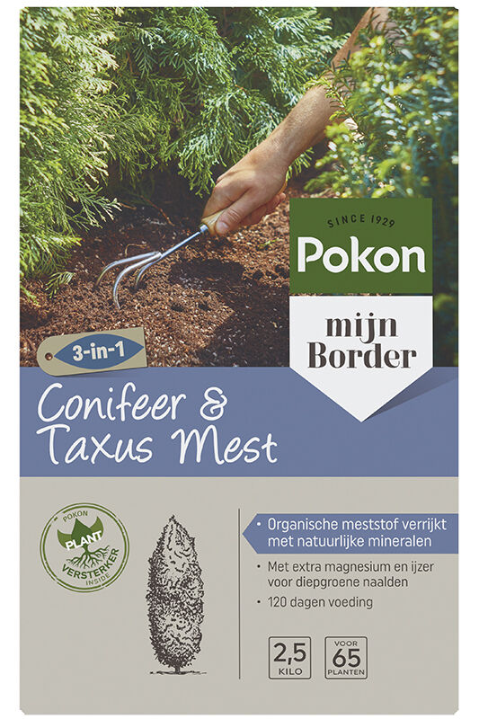 Pokon Conifeer & Taxusvoeding - Siertuinmeststof -