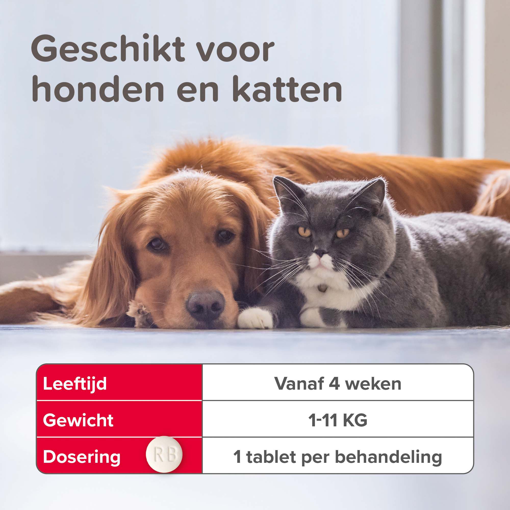 Beaphar Vlo Kill Hond en Kat tot 11kg - Vlooienmiddel - 6.50 cm - 10.00 cm - 1.50 cm