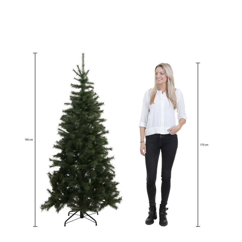 Triumph Tree Forest Frosted Pine Slim Fit - Kunstkerstboom - 185.00 cm - Blauw / Groen - 1.00 cm - 102.00 cm - 1.00 cm