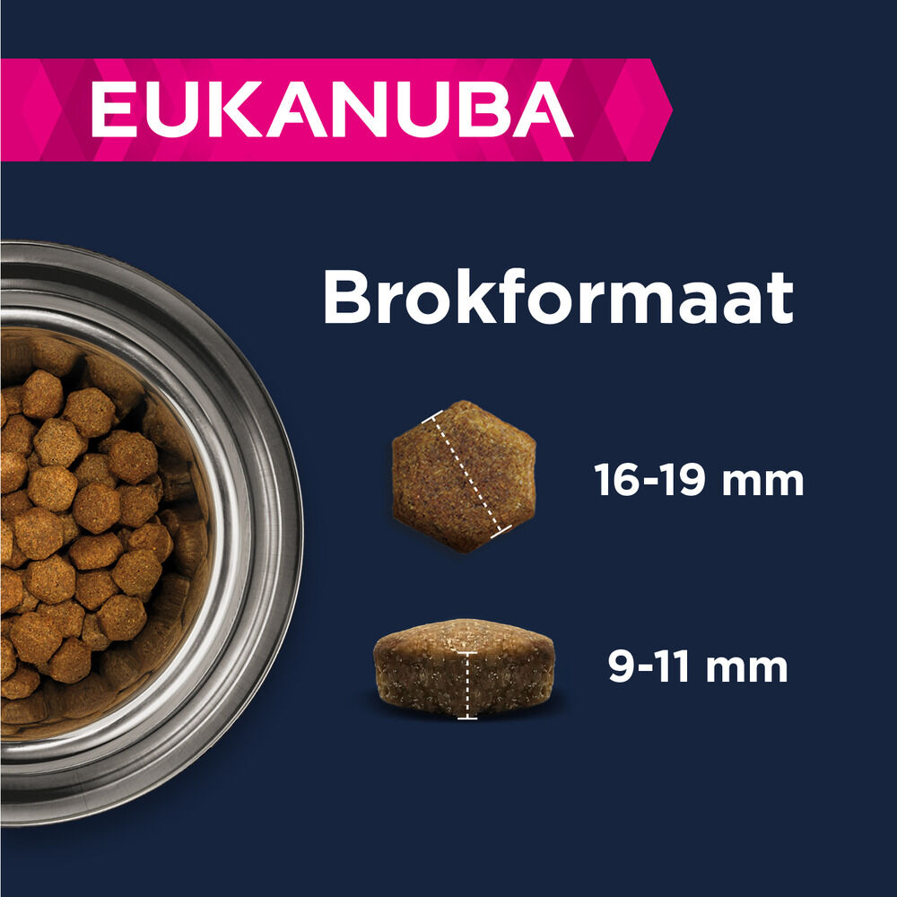 Eukanuba Adult Large breed Graanvrij - Hondenvoer - Vis - 12 kg