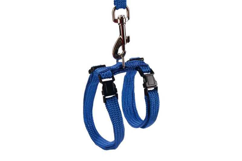 BEEZTEES - Kattentuigje - 20.50 cm - Blauw - 10 mm - 14.00 cm - 100.00 cm - 2.00 cm