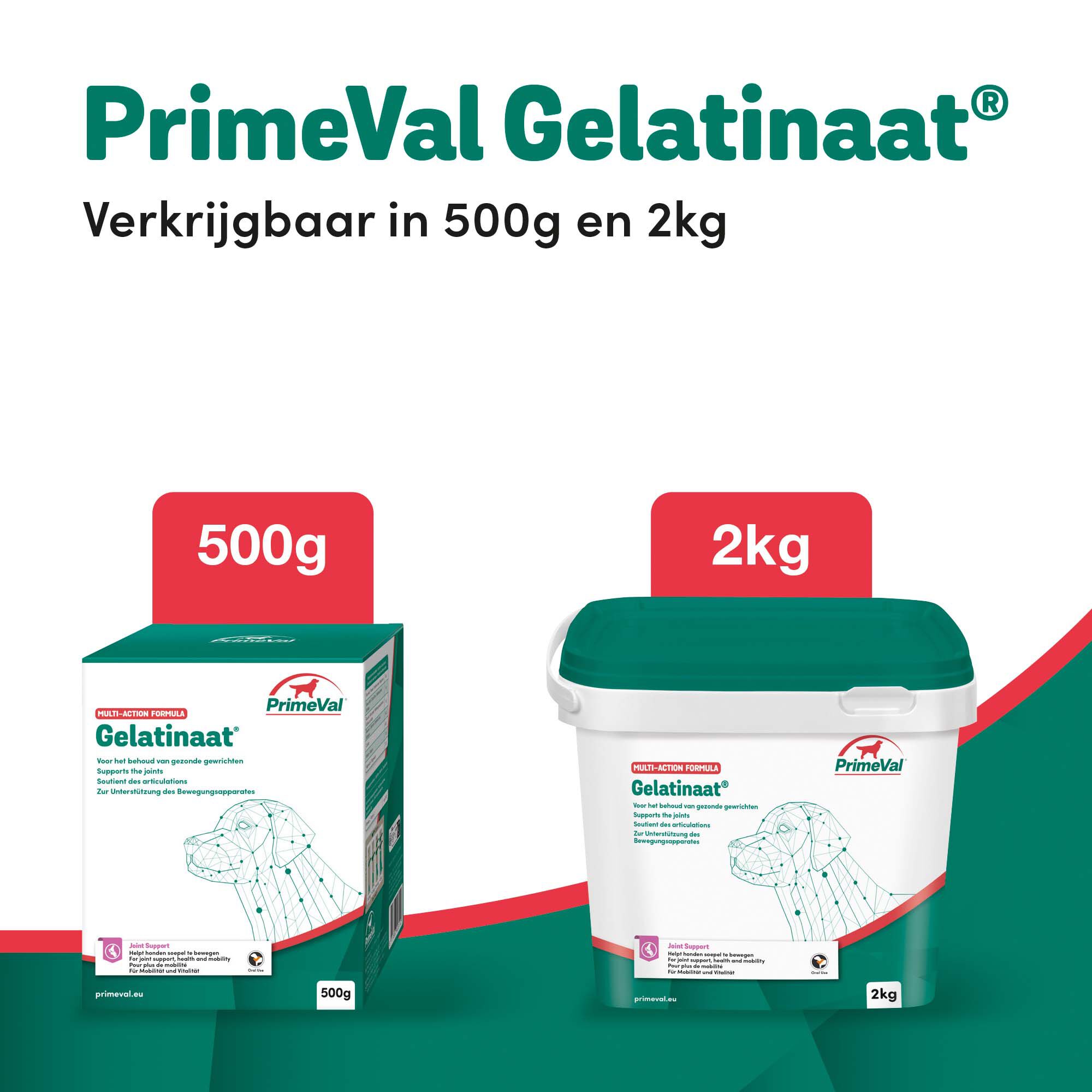 Primeval Gelatinaat - Soepele gewrichten Hond - 15.00 cm - 500.00 - 12.10 cm - 12.10 cm