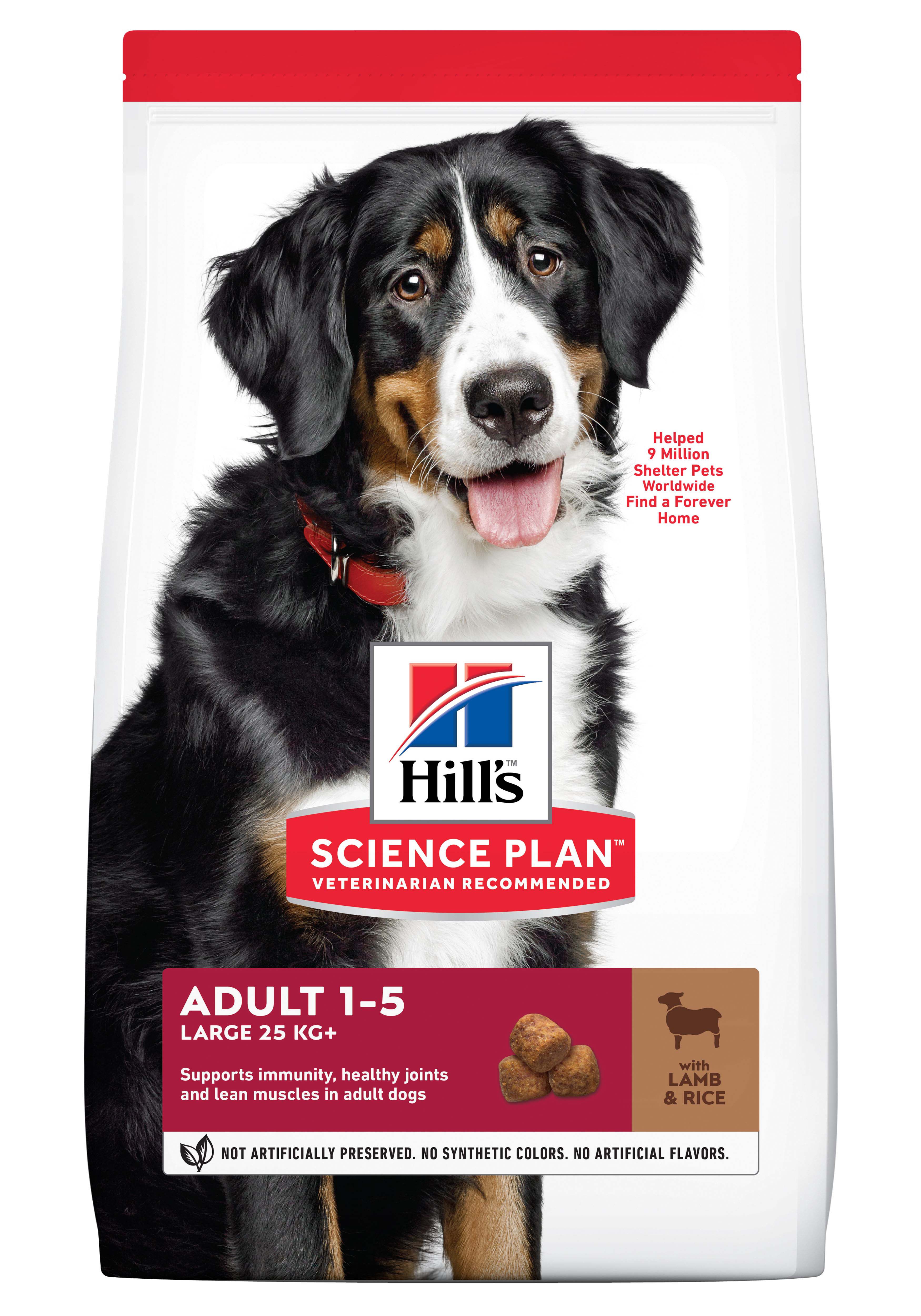 Hill’s Science Plan Adult Large Breed - Hondenvoer 