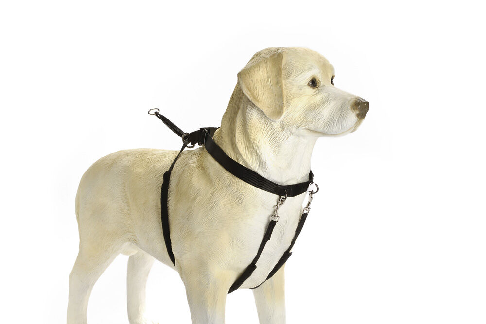 Beeztees Gentle Walker - Borsttuig Hond