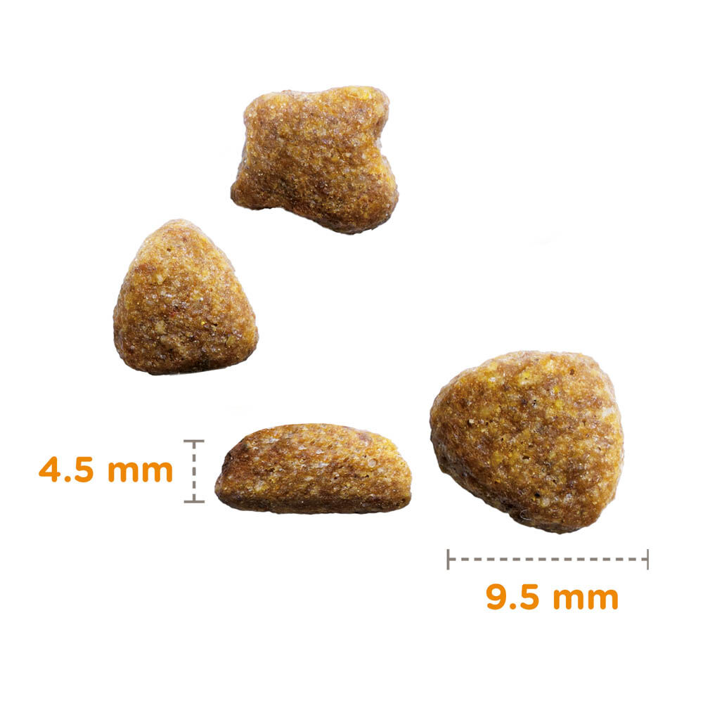 IAMS Adult Hairball Control - Kattenvoer - Kip - Kalkoen - 10 kg