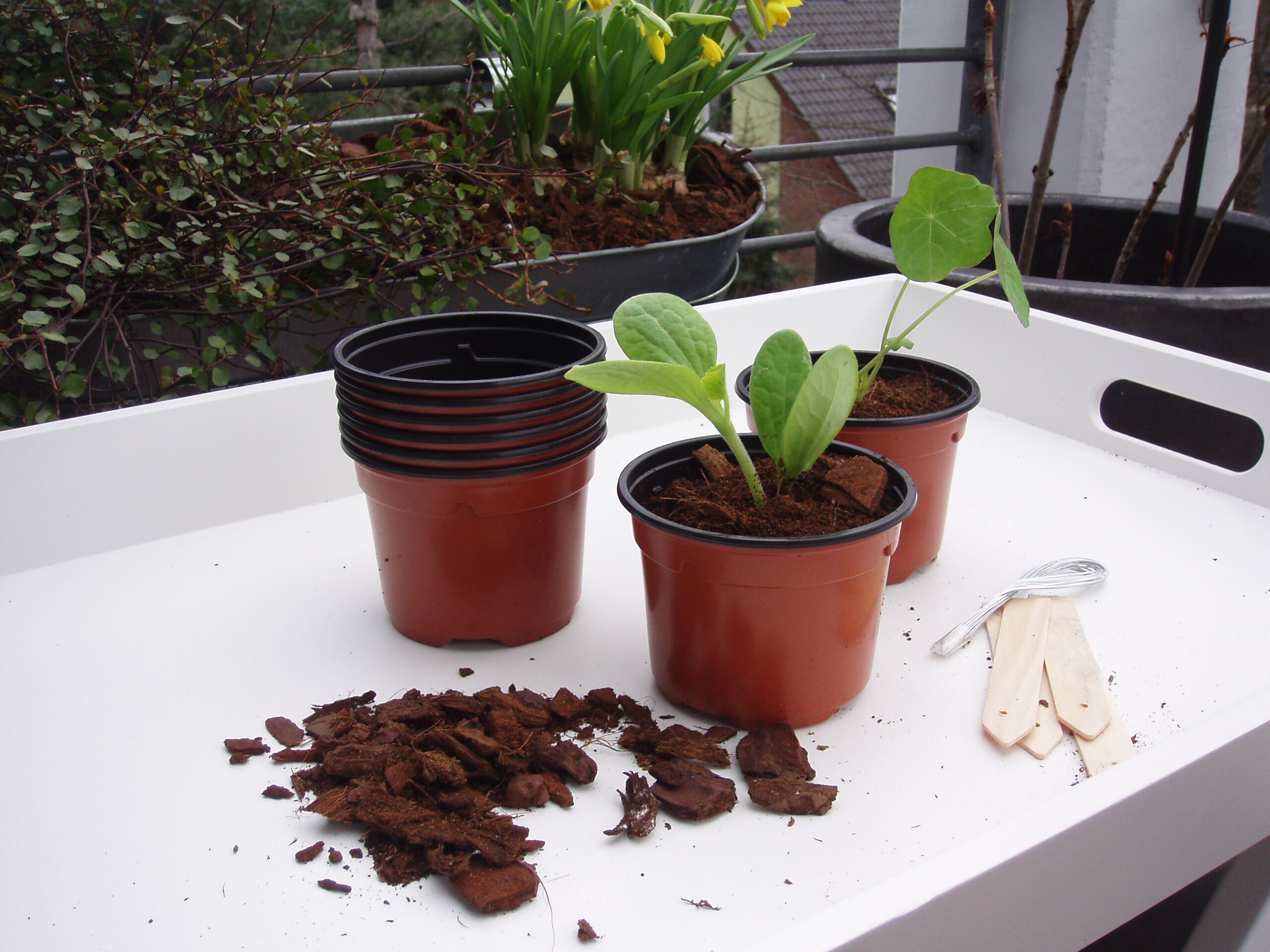 Nature Stekpotjes - Kweekbenodigdheden - 16.50 cm - 9.00 cm - 9.00 cm