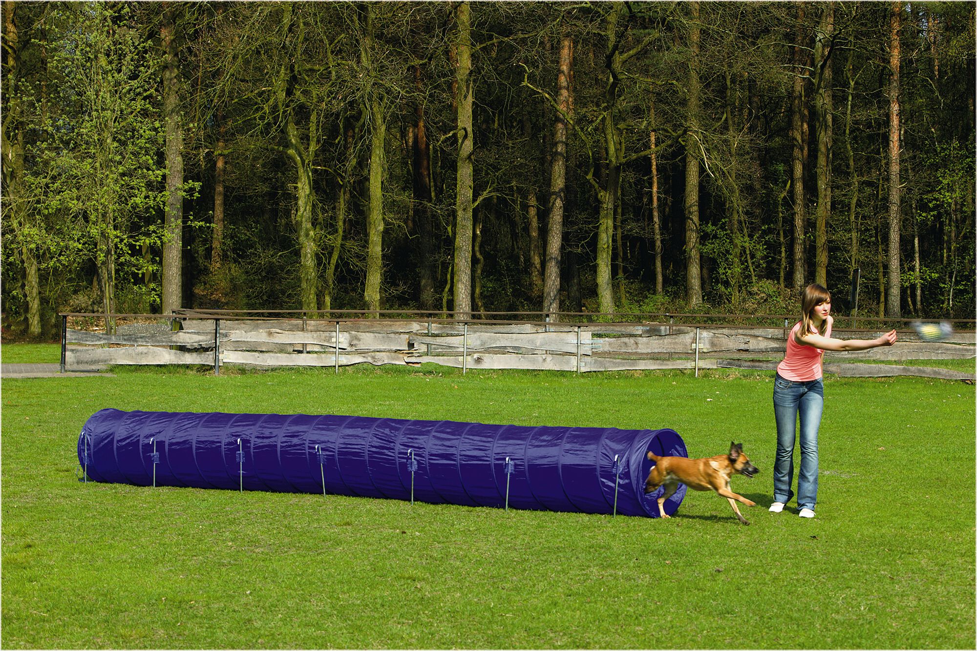 Beeztees Agility Tunnel - Sporten met je hond - 625x60x60 cm
