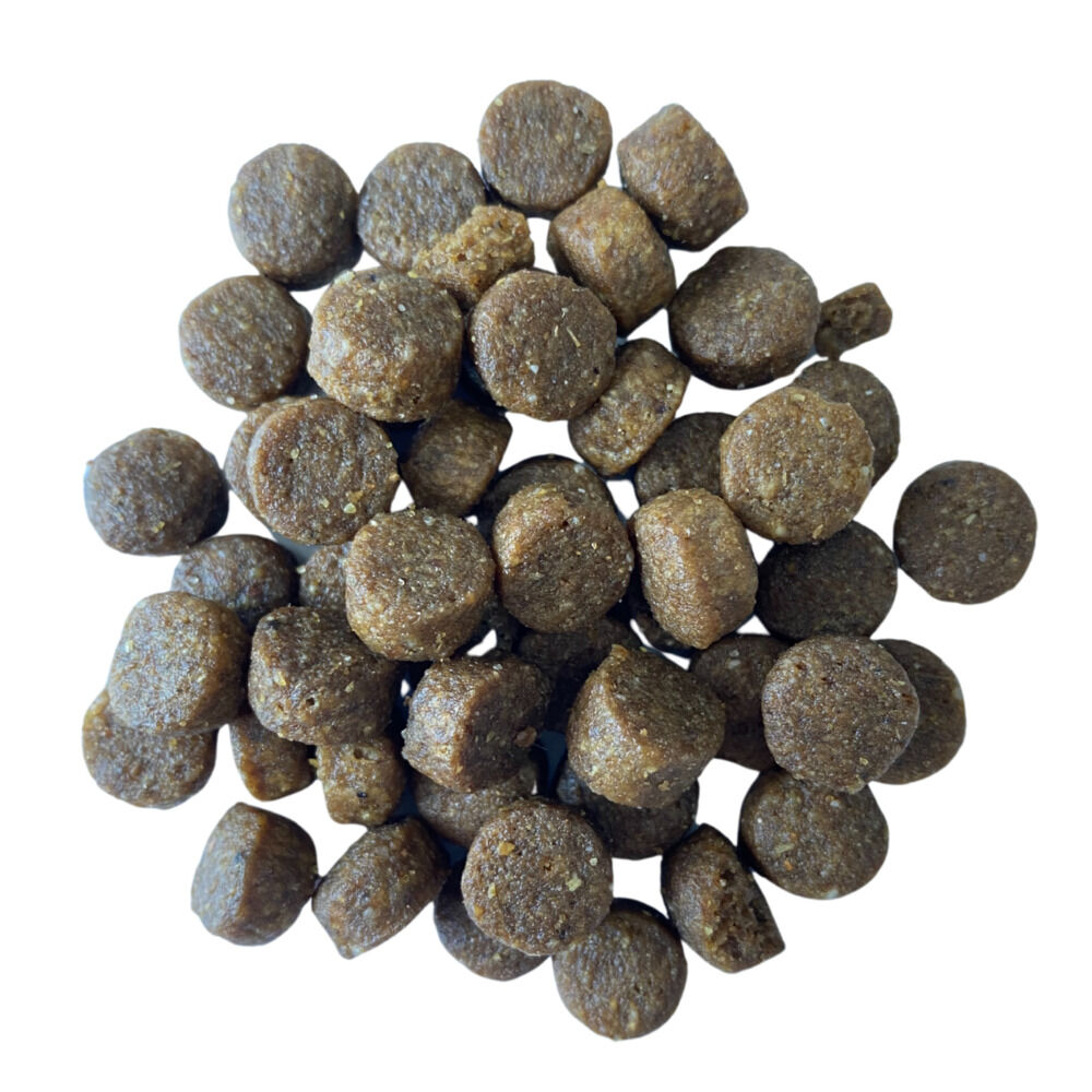 BF Petfood Senior Ageing & Vitality - Kattenvoer - Gevogelte - Vis - 1,5 kg