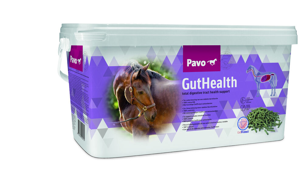 Pavo GutHealth - Supplement