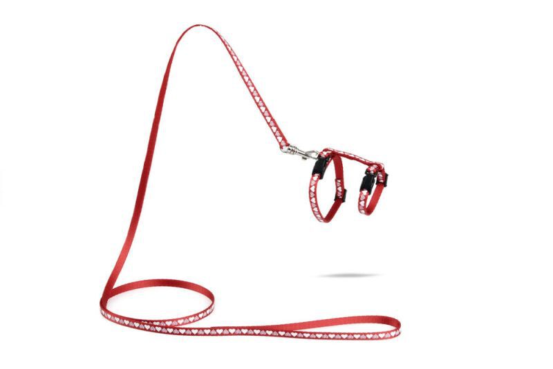 BEEZTEES Hearts - Kittentuigje - 20.50 cm - Rood - 10 mm - 13.10 cm - 100.00 cm - 4.50 cm