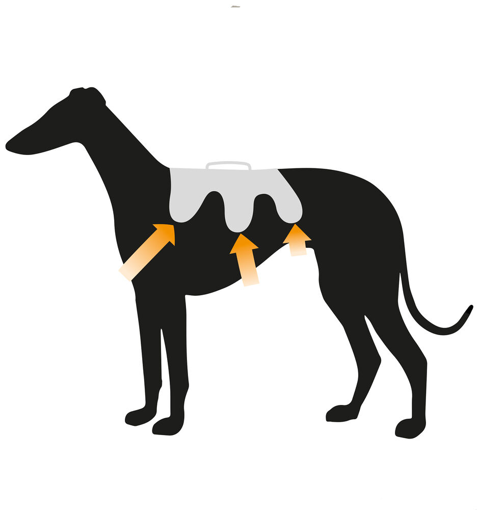 Ferplast Ergotrekking - Borsttuig - Hond - Zwart - Nylon - Small - 20 cm