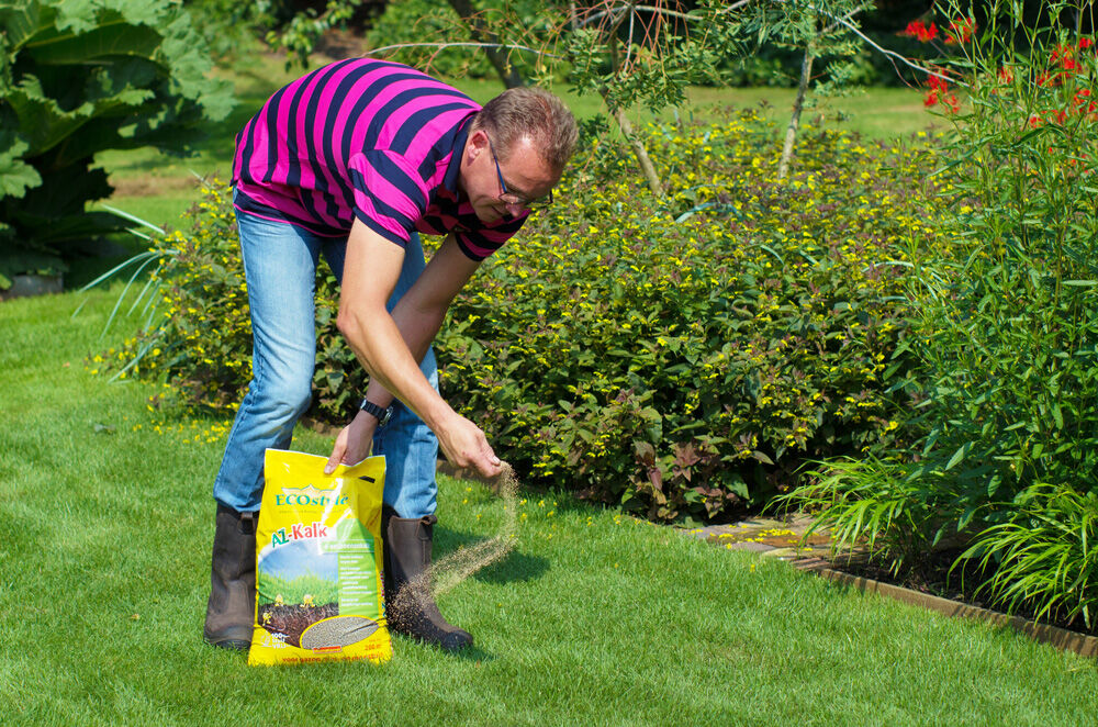 ECOstyle Gazon AZ-Kalk - 4-seizoenenkalk - 20 kg