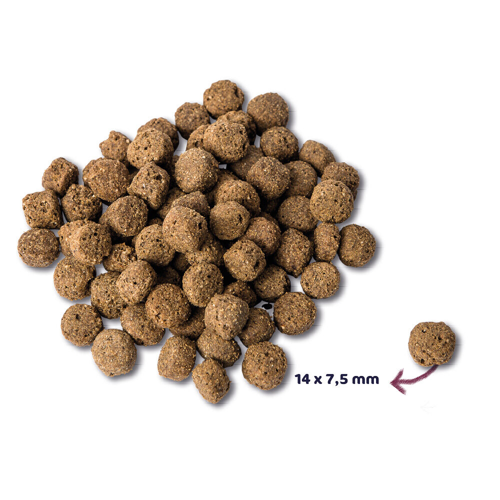 Renske Adult - Hondenvoer - Oceaanvis - 12 kg