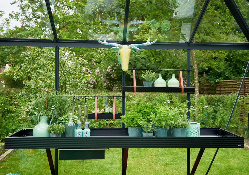 JULIANA Hanging Tray - Kweekschap - 1.00 cm - Zwart - 7614.50 cm - 1.00 cm