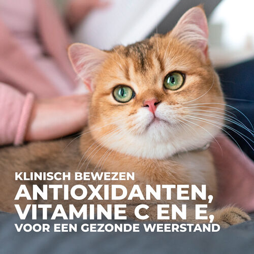 Hill's Science Plan Mature - Kattenvoer - Kip - 7 kg