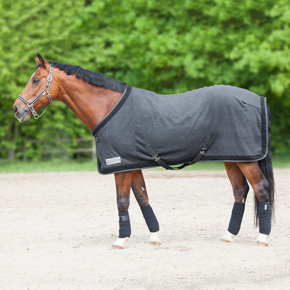 Waldhausen Esperia Zweetdeken - Paardendeken - 1.00 cm - Grijs - 1.00 cm - 175 cm - 1.00 cm Waldhausen Esperia Zweetdeken - Paardendeken - 1.00 cm - Grijs - 1.00 cm - 175 cm - 1.00 cm