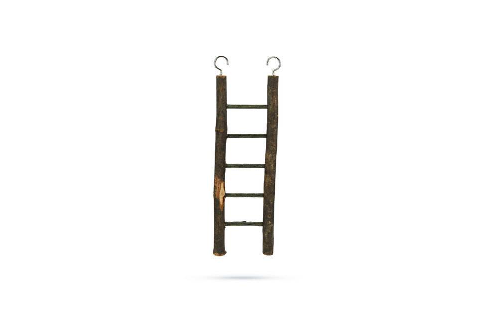 Beeztees Zi Ladder - Vogelspeeltje - 26.40 cm - Bruin - 8.30 cm - Klein - 1.70 cm