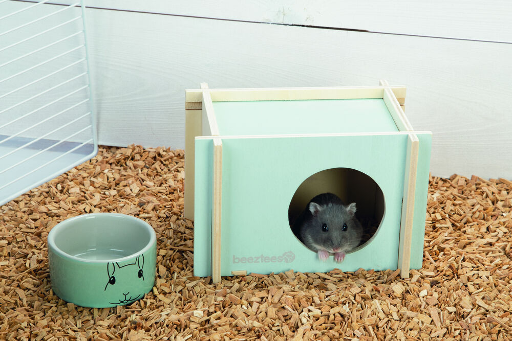 Beeztees Bildup - Hamsterhuis - 3.00 cm - Mint - 11.00 cm - S - 17.00 cm