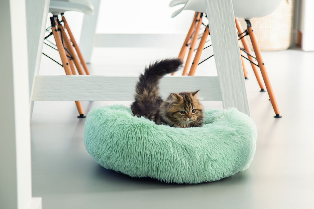 Beeztees Vako Pluche - Kattenmand - 16.00 cm - Blauw mint - 50.00 cm - 50.00 cm - 50.00 cm