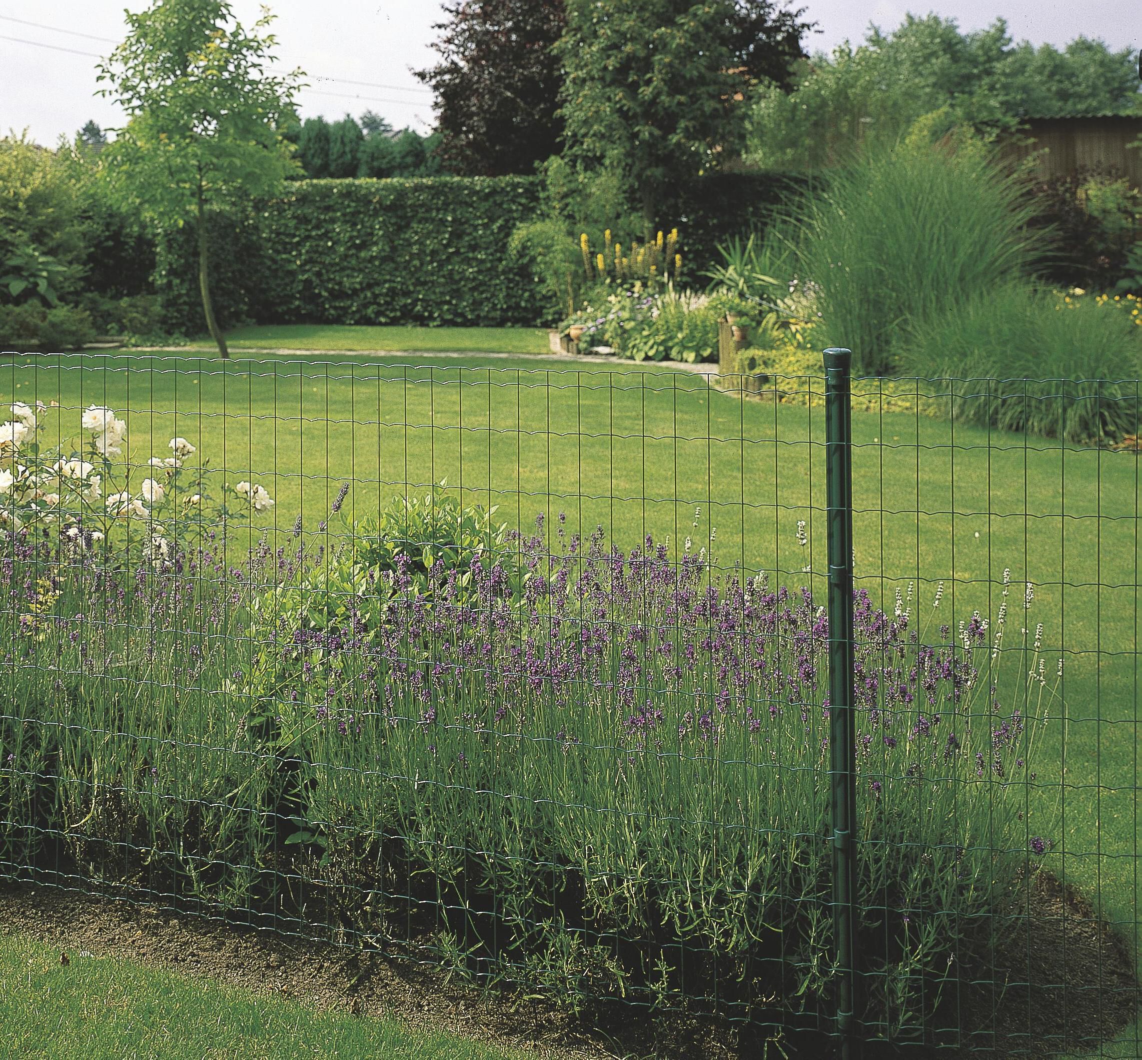 Betafence - Pantanet Family - Gelast tuingaas - Groen - 61 cm - 25 meter