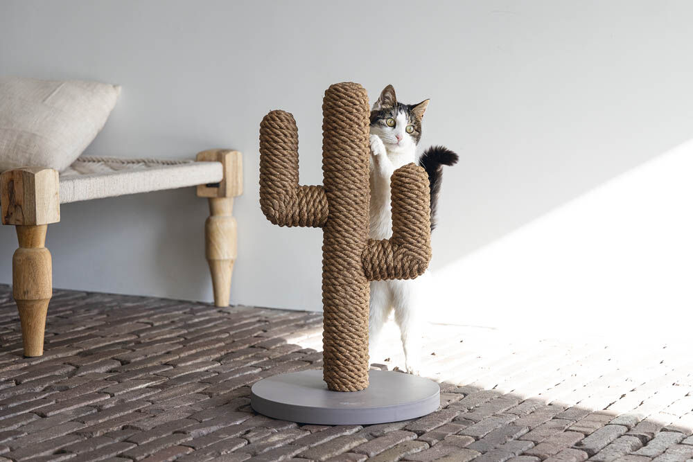 Designed by Lotte Cactus - Krabpaal - 1.00 cm - Taupe - 35.00 cm - 1.00 cm