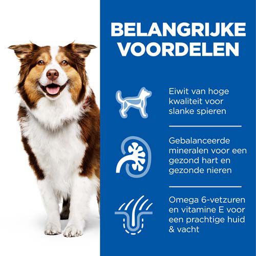 Hill’s Science Plan Mature Adult Medium - Hondenvoer  - Kip - 12 kg